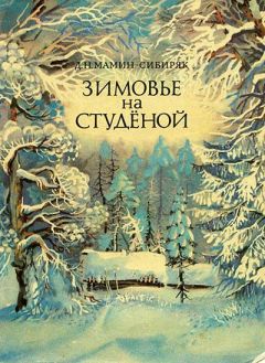 Дмитрий Мамин-Сибиряк - Зимовье на Студеной - Читать 📖 Читать онлайн 👀 Читаемые книги читать онлайн бесплатно 🔥 booksread-online.com