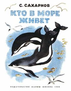 Святослав Сахарнов - Кто в море живет - Читать 📖 Читать онлайн 👀 Читаемые книги читать онлайн бесплатно 🔥 booksread-online.com