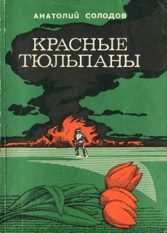Анатолий Солодов - Красные тюльпаны - Читать | Читать онлайн | Читаемые книги читать онлайн бесплатно | booksread-online.com