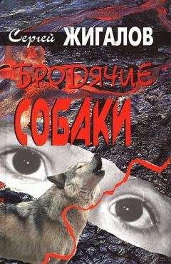 Сергей Жигалов - Бродячие собаки - Читать 📖 Читать онлайн 👀 Читаемые книги читать онлайн бесплатно 🔥 booksread-online.com