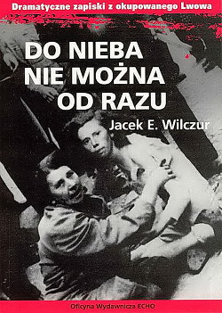 На небо сразу не попасть (Нельзя сразу на небо) - Вильчур Яцек - Читать 📖 Читать онлайн 👀 Читаемые книги читать онлайн бесплатно 🔥 booksread-online.com