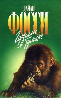 Дайан Фосси - Гориллы в тумане - Читать | Читать онлайн | Читаемые книги читать онлайн бесплатно | booksread-online.com