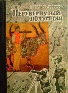 Мирослав Зикмунд - Перевёрнутый полумесяц - Читать | Читать онлайн | Читаемые книги читать онлайн бесплатно | booksread-online.com