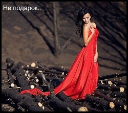 Не подарок (СИ) - "Шеол" - Читать 📖 Читать онлайн 👀 Читаемые книги читать онлайн бесплатно 🔥 booksread-online.com