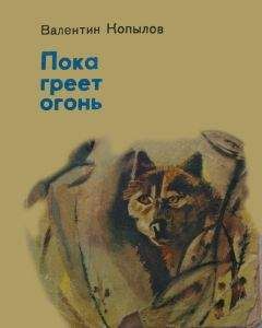 Валентин Копылов - ПОКА ГРЕЕТ ОГОНЬ - Читать 📖 Читать онлайн 👀 Читаемые книги читать онлайн бесплатно 🔥 booksread-online.com