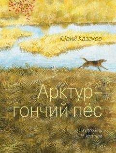 Юрий Казаков - Арктур – гончий пес (сборник) - Читать | Читать онлайн | Читаемые книги читать онлайн бесплатно | booksread-online.com