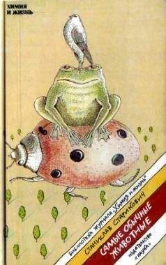 Станислав Старикович - Самые обычные животные - Читать 📖 Читать онлайн 👀 Читаемые книги читать онлайн бесплатно 🔥 booksread-online.com