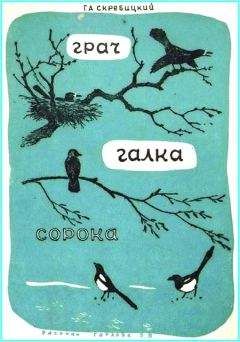 Георгий Скребицкий - Грач. Галка. Сорока - Читать 📖 Читать онлайн 👀 Читаемые книги читать онлайн бесплатно 🔥 booksread-online.com