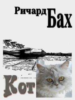 Ричард Бах - Кот - Читать 📖 Читать онлайн 👀 Читаемые книги читать онлайн бесплатно 🔥 booksread-online.com