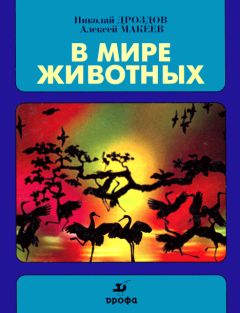 Николай Дроздов - В мире животных - Читать 📖 Читать онлайн 👀 Читаемые книги читать онлайн бесплатно 🔥 booksread-online.com