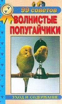 А. Рахманов - Волнистые попугайчики. Уход и содержание - Читать | Читать онлайн | Читаемые книги читать онлайн бесплатно | booksread-online.com