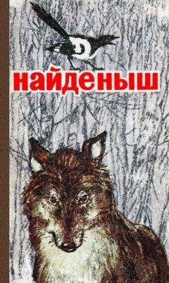 Виталий Бианки - Найденыш - Читать 📖 Читать онлайн 👀 Читаемые книги читать онлайн бесплатно 🔥 booksread-online.com