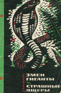 Рольф Бломберг - Змеи-гиганты и страшные ящеры - Читать 📖 Читать онлайн 👀 Читаемые книги читать онлайн бесплатно 🔥 booksread-online.com