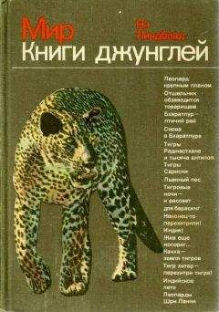 Ян Линдблад - Мир Книги джунглей - Читать 📖 Читать онлайн 👀 Читаемые книги читать онлайн бесплатно 🔥 booksread-online.com