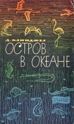 Гилберт Клинджел - Остров в океане - Читать 📖 Читать онлайн 👀 Читаемые книги читать онлайн бесплатно 🔥 booksread-online.com