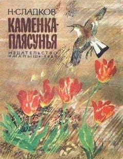 Николай Сладков - Каменка-плясунья - Читать 📖 Читать онлайн 👀 Читаемые книги читать онлайн бесплатно 🔥 booksread-online.com