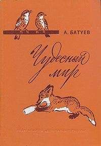 Андрей Батуев - Чудесный мир - Читать 📖 Читать онлайн 👀 Читаемые книги читать онлайн бесплатно 🔥 booksread-online.com