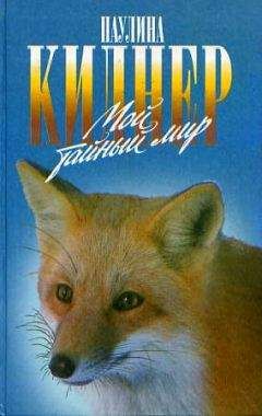 Паулина Киднер - Мой тайный мир - Читать 📖 Читать онлайн 👀 Читаемые книги читать онлайн бесплатно 🔥 booksread-online.com