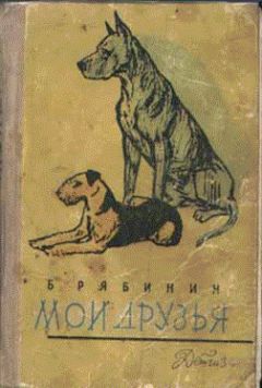 Борис Рябинин - Мои друзья - Читать 📖 Читать онлайн 👀 Читаемые книги читать онлайн бесплатно 🔥 booksread-online.com