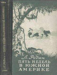 Леонид Родин - Пять недель в Южной Америке - Читать | Читать онлайн | Читаемые книги читать онлайн бесплатно | booksread-online.com