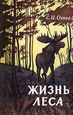 Сергей Огнев - Жизнь леса - Читать | Читать онлайн | Читаемые книги читать онлайн бесплатно | booksread-online.com