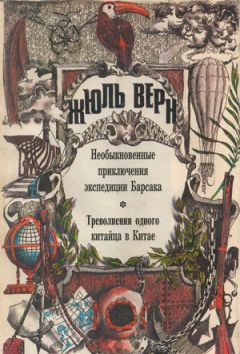 Жюль Верн - Треволнения одного китайца в Китае - Читать 📖 Читать онлайн 👀 Читаемые книги читать онлайн бесплатно 🔥 booksread-online.com