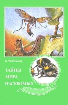 Виктор Гребенников - Тайны мира насекомых - Читать 📖 Читать онлайн 👀 Читаемые книги читать онлайн бесплатно 🔥 booksread-online.com