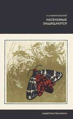 Павел Мариковский - Насекомые защищаются - Читать 📖 Читать онлайн 👀 Читаемые книги читать онлайн бесплатно 🔥 booksread-online.com