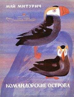 Май Митурич - Командорские острова - Читать 📖 Читать онлайн 👀 Читаемые книги читать онлайн бесплатно 🔥 booksread-online.com