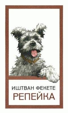 Иштван Фекете - Репейка - Читать 📖 Читать онлайн 👀 Читаемые книги читать онлайн бесплатно 🔥 booksread-online.com