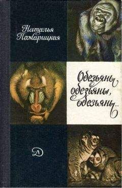 Наталья Пожарицкая - Обезьяны, обезьяны, обезьяны... - Читать | Читать онлайн | Читаемые книги читать онлайн бесплатно | booksread-online.com