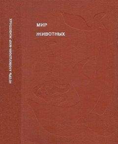 Игорь Акимушкин - Мир животных. Рассказы о змеях, крокодилах, черепахах, лягушках, рыбах. - Читать 📖 Читать онлайн 👀 Читаемые книги читать онлайн бесплатно 🔥 booksread-online.com