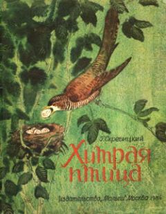Георгий Скребицкий - Хитрая птица - Читать 📖 Читать онлайн 👀 Читаемые книги читать онлайн бесплатно 🔥 booksread-online.com