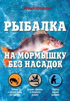 Юрий Юсупов - Рыбалка на мормышку без насадок - Читать 📖 Читать онлайн 👀 Читаемые книги читать онлайн бесплатно 🔥 booksread-online.com