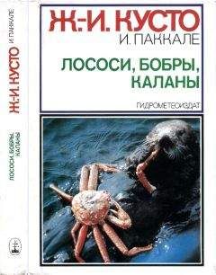 Жак-Ив Кусто - Лососи, бобры, каланы - Читать 📖 Читать онлайн 👀 Читаемые книги читать онлайн бесплатно 🔥 booksread-online.com