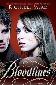 Райчел Мид - Кровные узы - Читать 📖 Читать онлайн 👀 Читаемые книги читать онлайн бесплатно 🔥 booksread-online.com