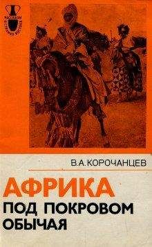 Владимир Корочанцев - Африка под покровом обычая - Читать | Читать онлайн | Читаемые книги читать онлайн бесплатно | booksread-online.com