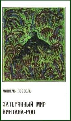Мишель Пессель - Затерянный мир Кинтана-Роо - Читать | Читать онлайн | Читаемые книги читать онлайн бесплатно | booksread-online.com