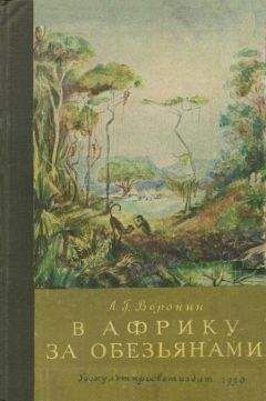 Леонид Воронин - В Африку за обезьянами - Читать 📖 Читать онлайн 👀 Читаемые книги читать онлайн бесплатно 🔥 booksread-online.com