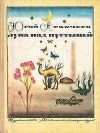 Юрий Аракчеев - Луна над пустыней - Читать 📖 Читать онлайн 👀 Читаемые книги читать онлайн бесплатно 🔥 booksread-online.com