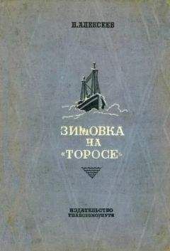 Николай Алексеев - Зимовка на «Торосе» - Читать | Читать онлайн | Читаемые книги читать онлайн бесплатно | booksread-online.com