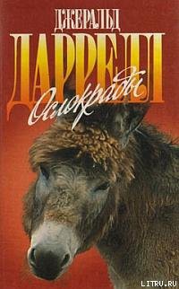 Ослокрады (с иллюстрациями) - Даррелл Джеральд - Читать 📖 Читать онлайн 👀 Читаемые книги читать онлайн бесплатно 🔥 booksread-online.com