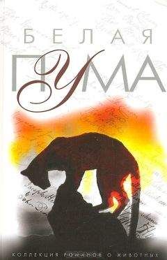 Джон Кац - Год собаки - Читать 📖 Читать онлайн 👀 Читаемые книги читать онлайн бесплатно 🔥 booksread-online.com