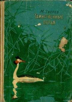 Максим Зверев - Таинственные перья (сборник) - Читать 📖 Читать онлайн 👀 Читаемые книги читать онлайн бесплатно 🔥 booksread-online.com
