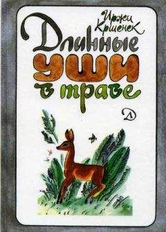 Иржи Кршенек - Длинные уши в траве. История косули Рыжки - Читать 📖 Читать онлайн 👀 Читаемые книги читать онлайн бесплатно 🔥 booksread-online.com