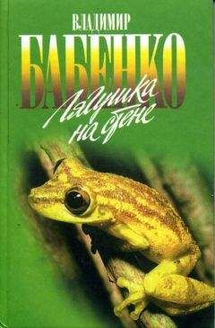 Владимир Бабенко - Лягушка на стене - Читать 📖 Читать онлайн 👀 Читаемые книги читать онлайн бесплатно 🔥 booksread-online.com