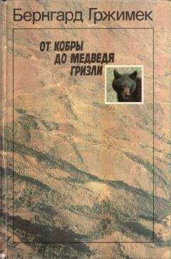 Бернгард Гржимек - От кобры до медведя гризли - Читать 📖 Читать онлайн 👀 Читаемые книги читать онлайн бесплатно 🔥 booksread-online.com