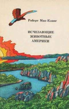 Роберт Мак-Кланг - Исчезающие животные Америки - Читать 📖 Читать онлайн 👀 Читаемые книги читать онлайн бесплатно 🔥 booksread-online.com