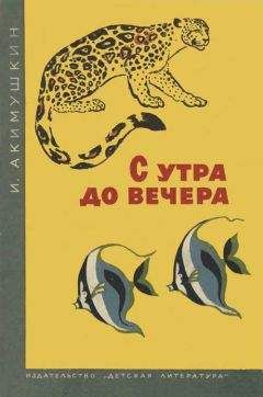 Игорь Акимушкин - С утра до вечера - Читать 📖 Читать онлайн 👀 Читаемые книги читать онлайн бесплатно 🔥 booksread-online.com