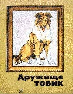 Юрий Дмитриев - Дунай - Читать 📖 Читать онлайн 👀 Читаемые книги читать онлайн бесплатно 🔥 booksread-online.com